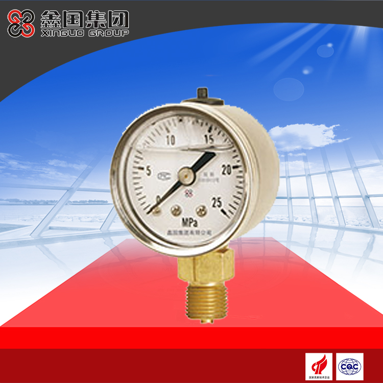 XG-YN系列、XG-YN-B系列耐震壓力表