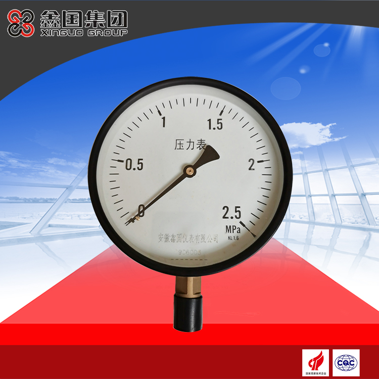 XG-YA-100、150系列氨壓力表